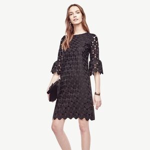 ANN TAYLOR Shift Dress
